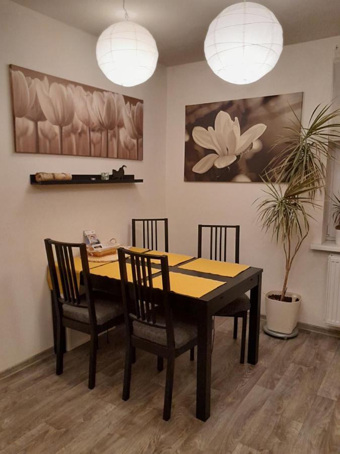 Apartment Riegerovka Cheb Eksteriør billede