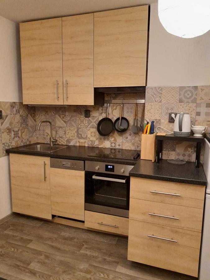 Apartment Riegerovka Cheb Eksteriør billede