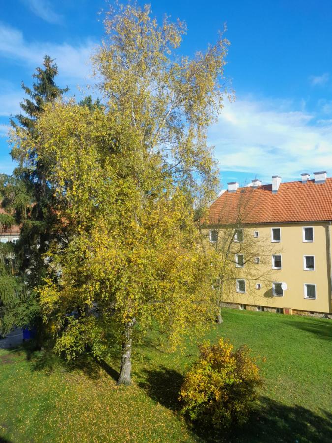 Apartment Riegerovka Cheb Eksteriør billede