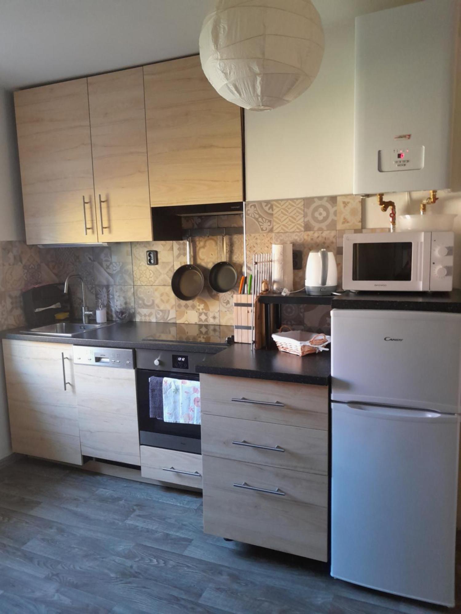 Apartment Riegerovka Cheb Eksteriør billede